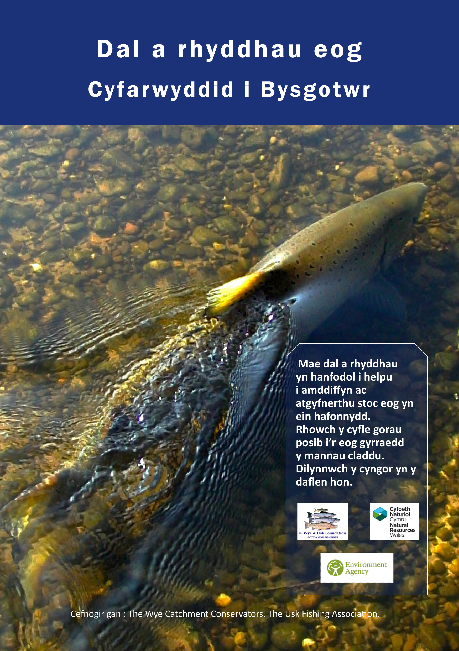 Catch and Release Guide Welsh